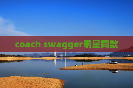 coach swagger明星同款